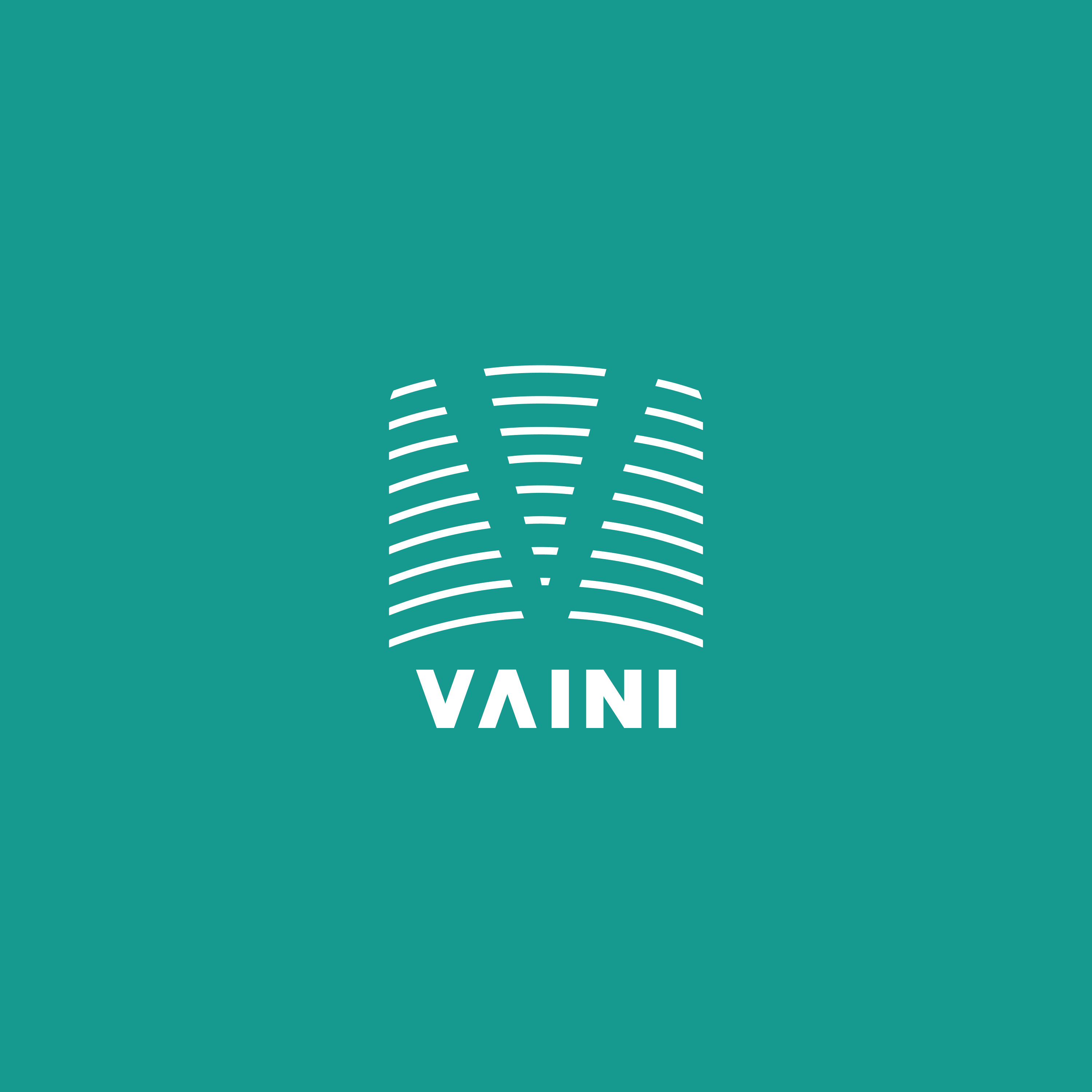 VAINI Logo White